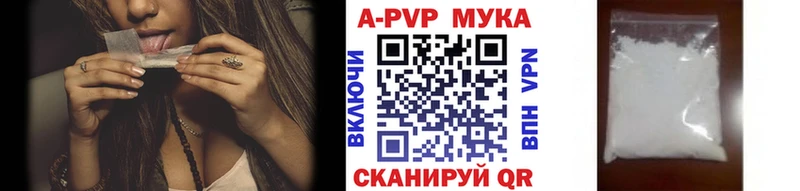 A-PVP СК КРИС  Коряжма 