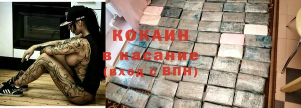 винт Алзамай