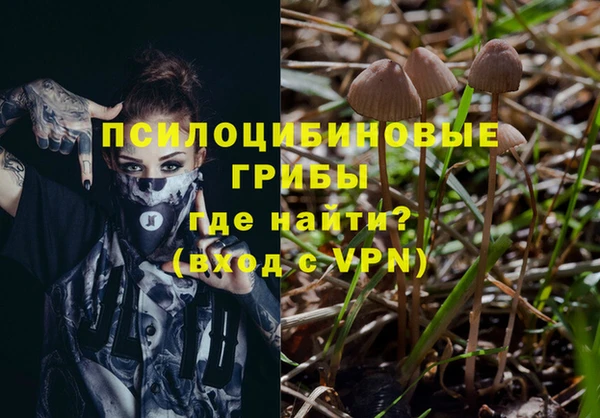 эйфоретик Алексин