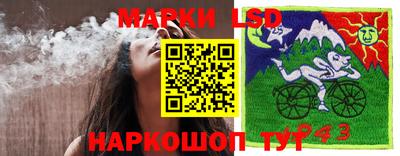 индика Кинель