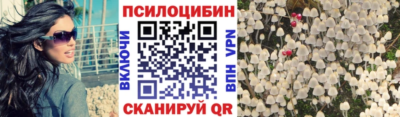 Псилоцибиновые грибы прущие грибы  Коряжма 