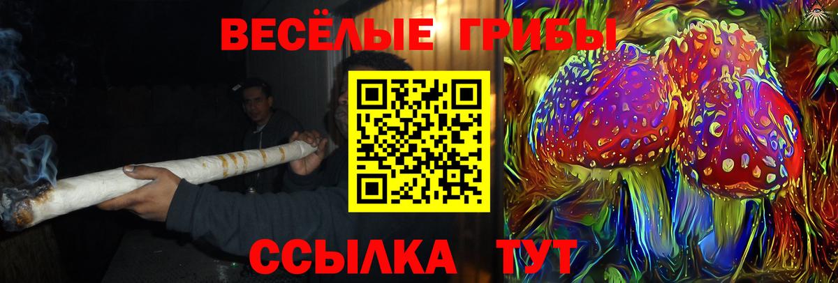 Галлюциногенные грибы Magic Shrooms Коряжма