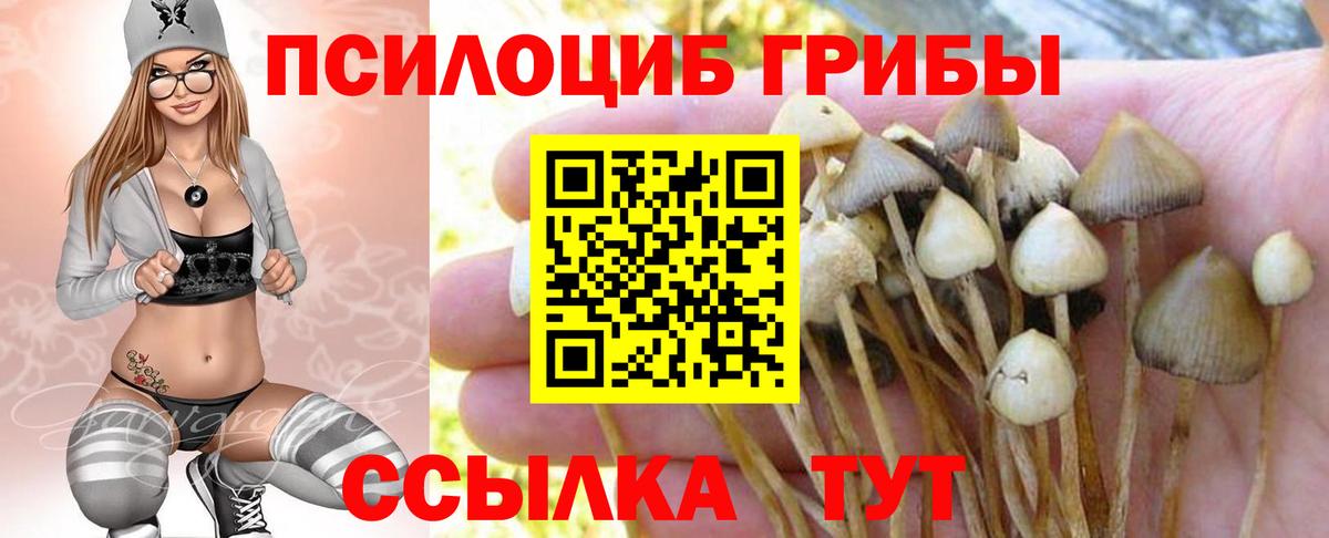 Псилоцибиновые грибы ЛСД  Вход с VPN  Галлюциногенные грибы ЛСД  Коряжма 