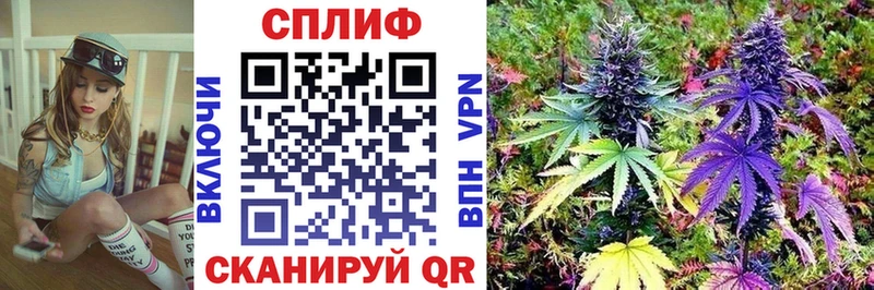 купить наркоту  Коряжма  МАРИХУАНА конопля 